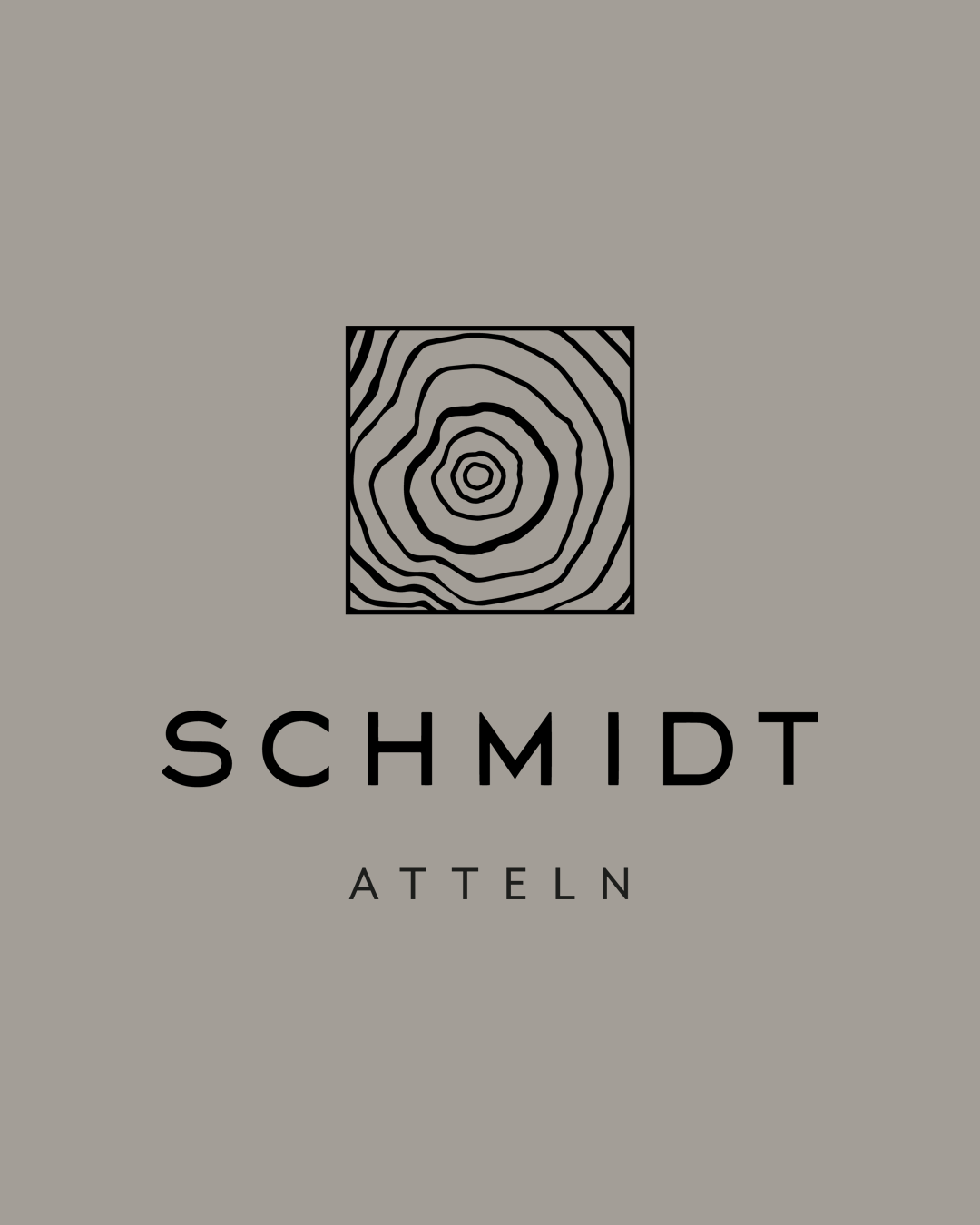 Schmidt Logo